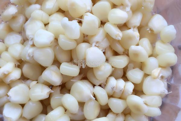 新鲜玉米饼的做法图解2