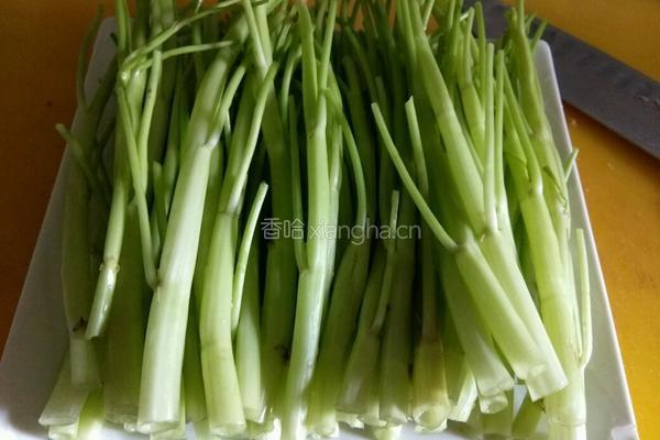 白灼通菜梗的做法图解2