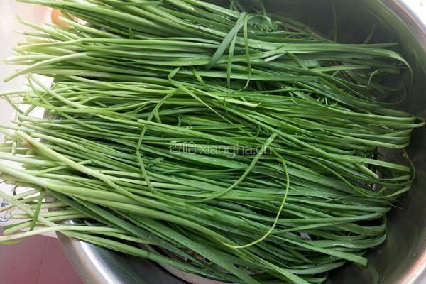 猪肉韭菜馅饺子的做法图解3