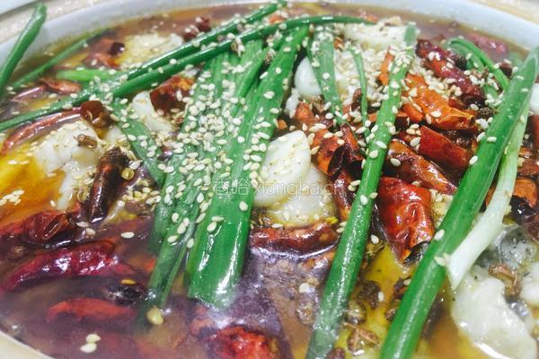 沸腾水煮鱼的做法图解5