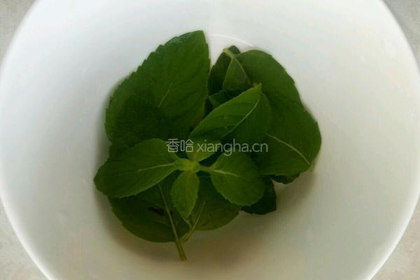 薄荷水的做法图解1