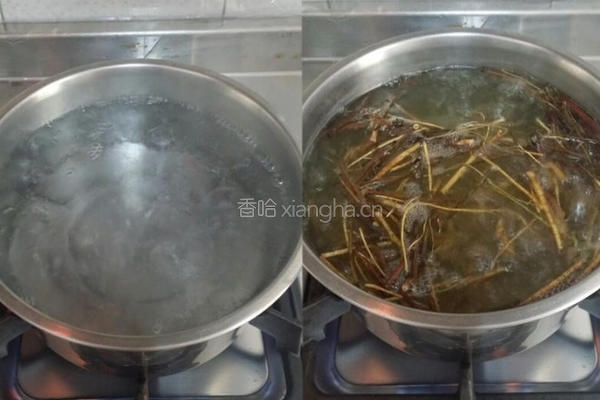药材炖鸡的做法图解3