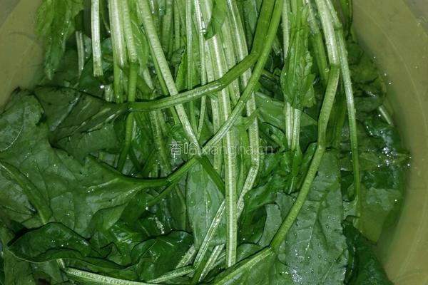 肉酱菠菜的做法图解2