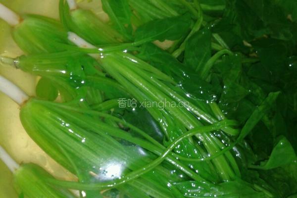 肉酱菠菜的做法图解7