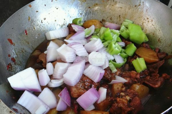 土豆炖鸡的做法图解9