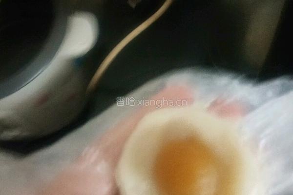 椰丝月饼的做法图解8