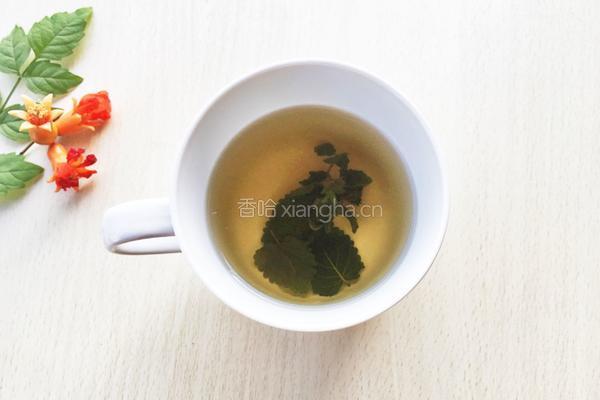 蜂蜜薄荷茶的做法图解4