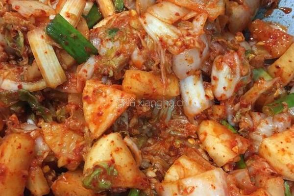韩式泡菜的做法图解4
