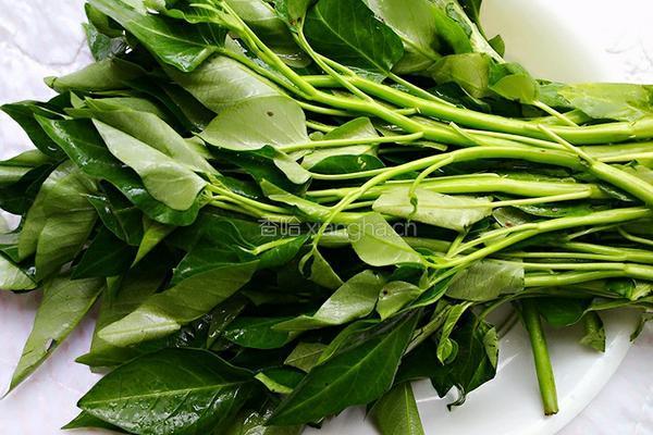 炒空心菜梗的做法图解1