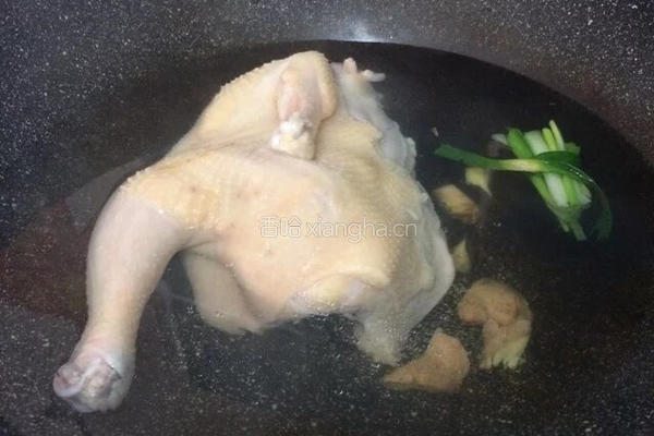 手撕鸡的做法图解3