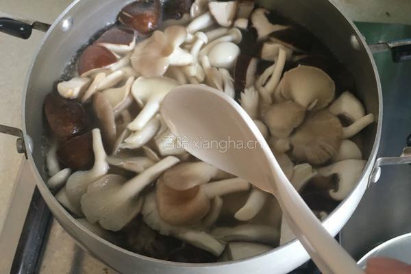 菌菇煲的做法图解8