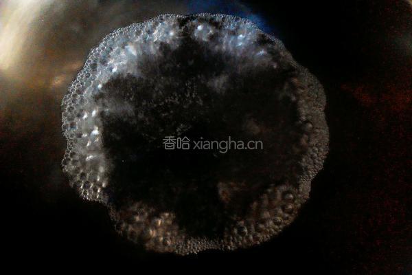 煮茄子的做法图解3