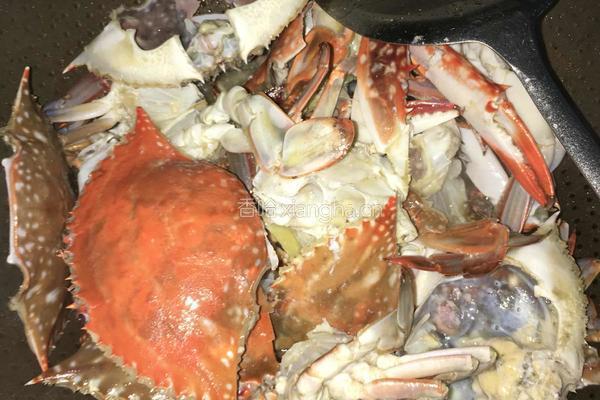 香辣梭子蟹的做法图解4