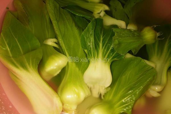 蒜蓉油菜的做法图解1