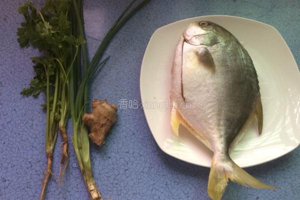 红烧金昌鱼的做法图解1
