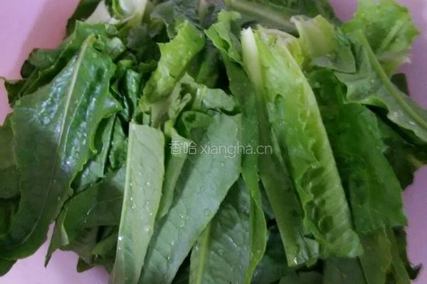 豆豉油麦菜的做法图解2