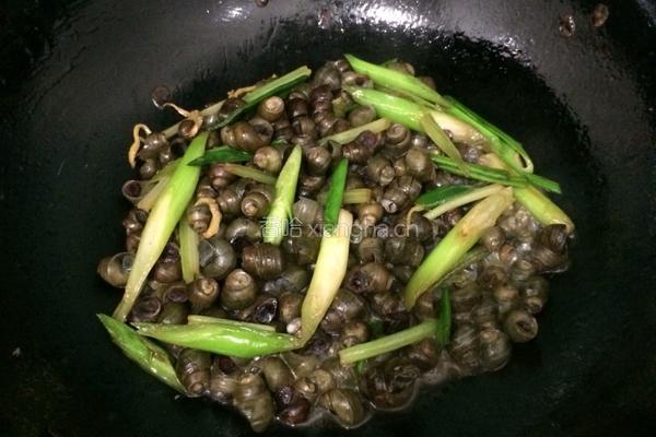 炒田螺的做法图解6