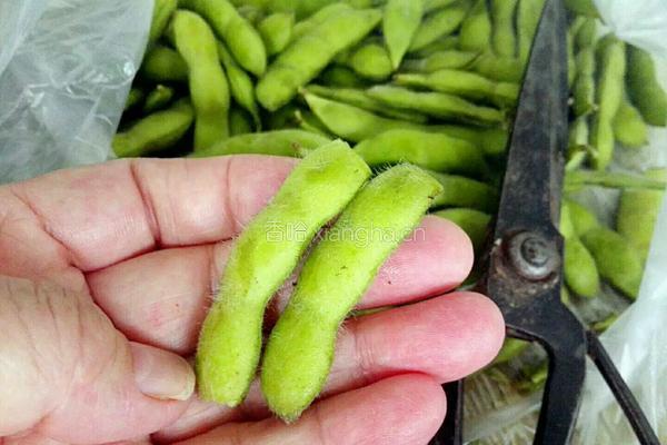 五香毛豆花生的做法图解2