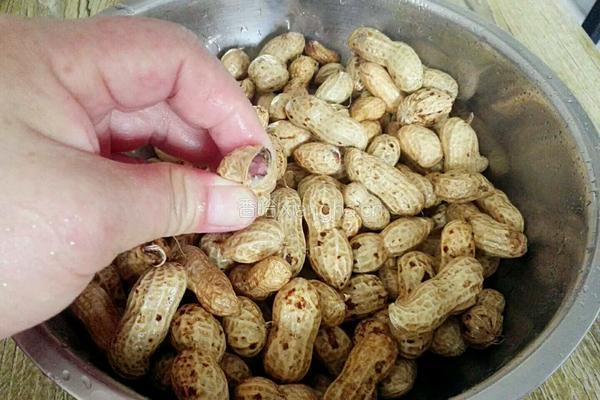 五香毛豆花生的做法图解3