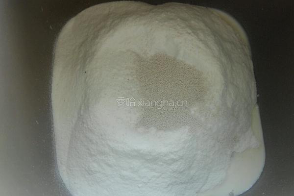 奶酪夹心面包的做法图解3