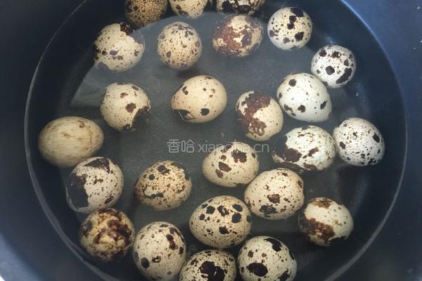 茶叶鹌鹑蛋的做法图解2