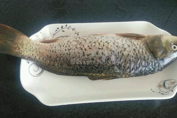 豆腐烧鱼块的做法图解1