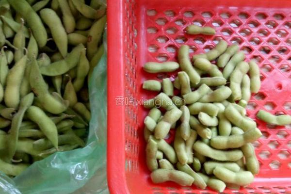 炒毛豆的做法图解1