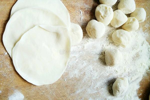 韭菜鲜虾馅饺子的做法图解5