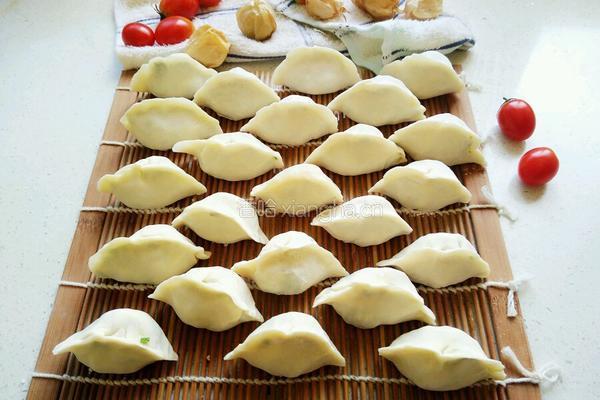 韭菜鲜虾馅饺子的做法图解6