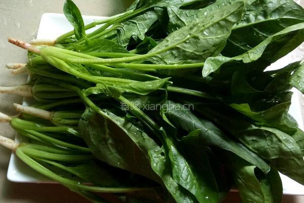 凉拌芝麻菠菜的做法图解1