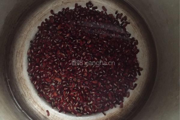 自制红豆沙的做法图解2