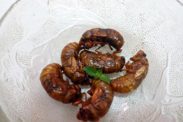 香酥金蝉的做法图解3