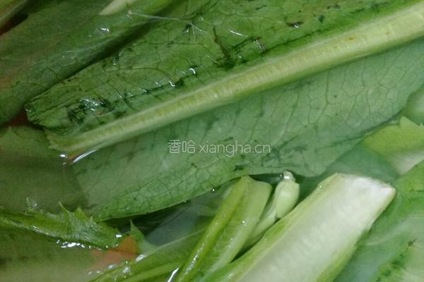 素炒油麦菜的做法图解1