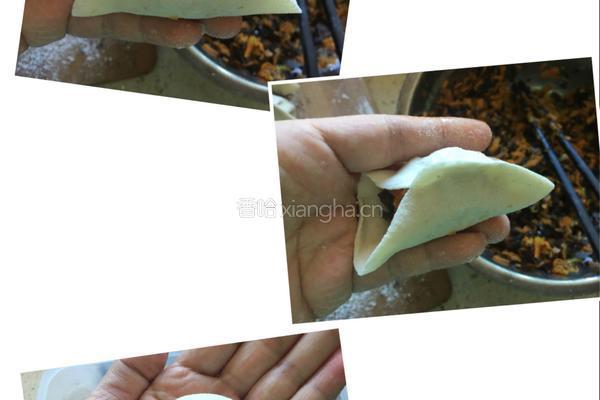 胡萝卜木耳馅饺子的做法图解12