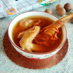 乳鸽汤的做法[图]