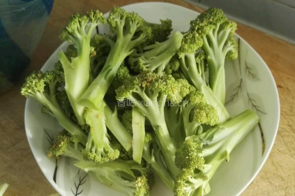 蚝油西兰花的做法图解1