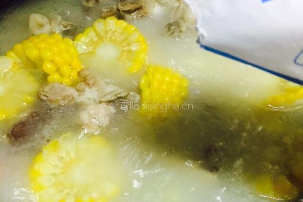 玉米骨头汤的做法图解8