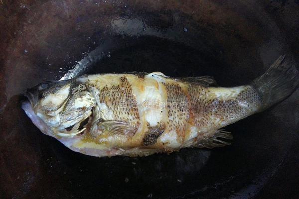 川味豆豉鱼的做法图解5