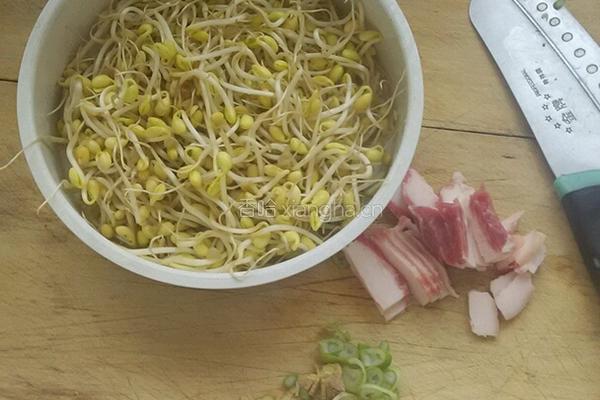 豆芽炒粉条的做法图解1