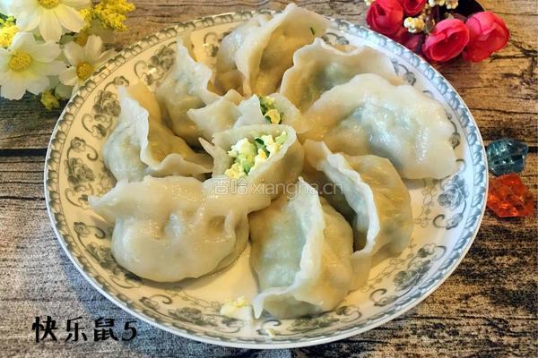 黄瓜鸡蛋水饺的做法图解14