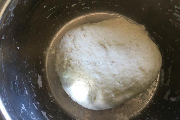 黄瓜鸡蛋水饺的做法图解1