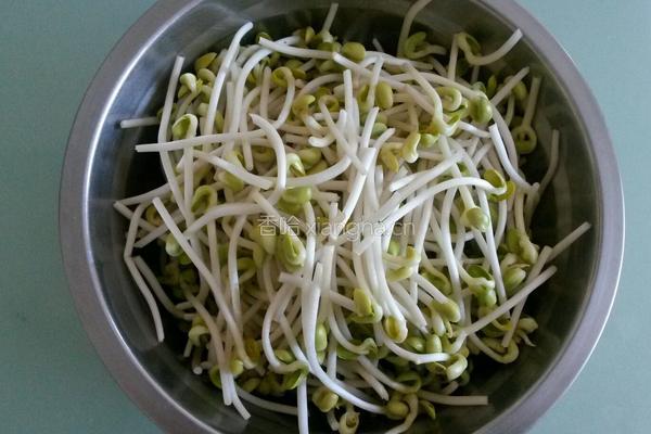 清炒黄豆芽的做法图解1