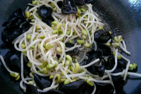 黄豆芽炒木耳的做法图解5