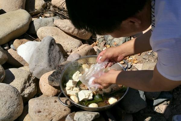 炭火炖排骨的做法图解4
