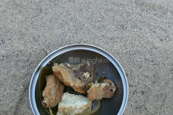 炭火炖排骨的做法图解7