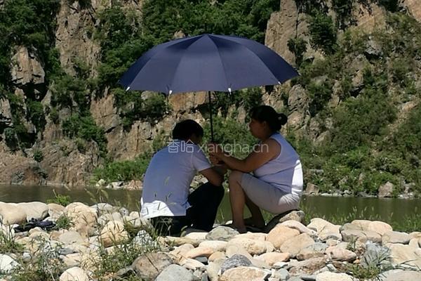 炭火炖排骨的做法图解8