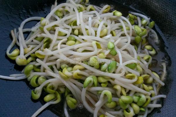 清炒黄豆芽的做法图解4
