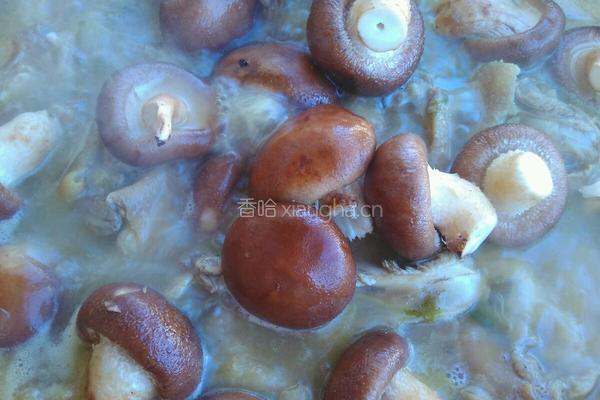 大公鸡炖香菇粉条的做法图解3