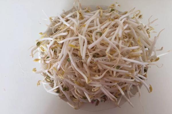 醋溜豆芽的做法图解1