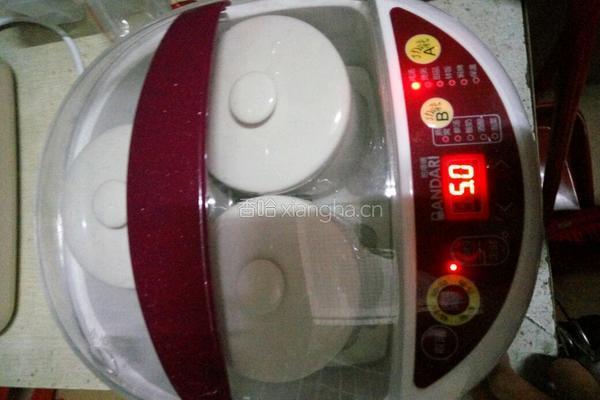 茶树菇煲排骨汤的做法图解5
